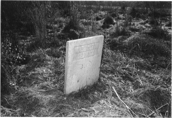 Photo of grave